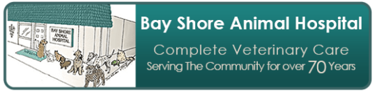 Bayshore Animal Hospital Logo